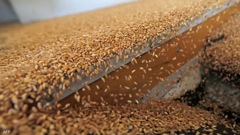 ارتفاع عقود القمح بختام تداولات بورصة شيكاغو