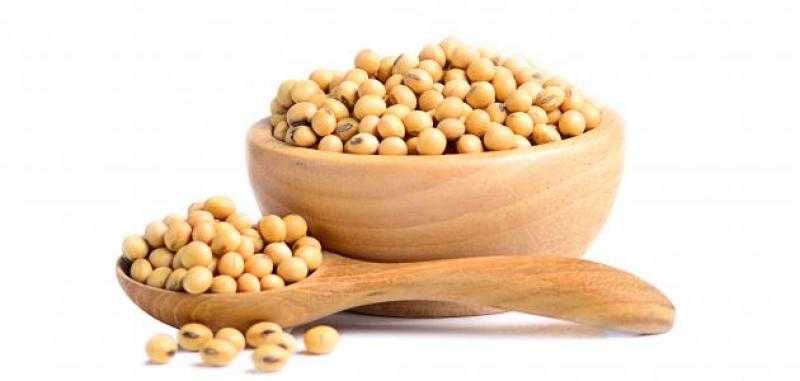 انخفاض عقود بذرة الصويا الآجلة مع تقدم حصاد المحصول الأمريكي والبرازيلي