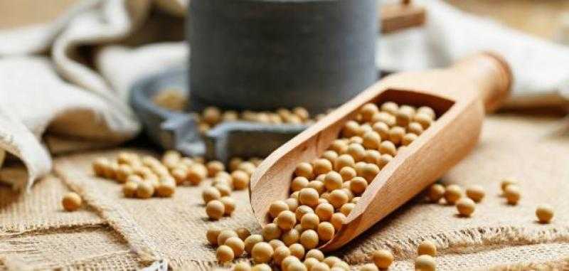 انخفاض أسعار بذرة الصويا بمستهل تداولات اليوم الثلاثاء