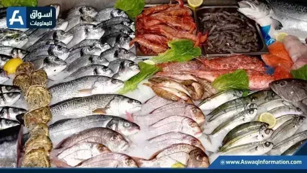 تراجع البوري.. أسعار السمك اليوم الإثنين بسوق العبور
