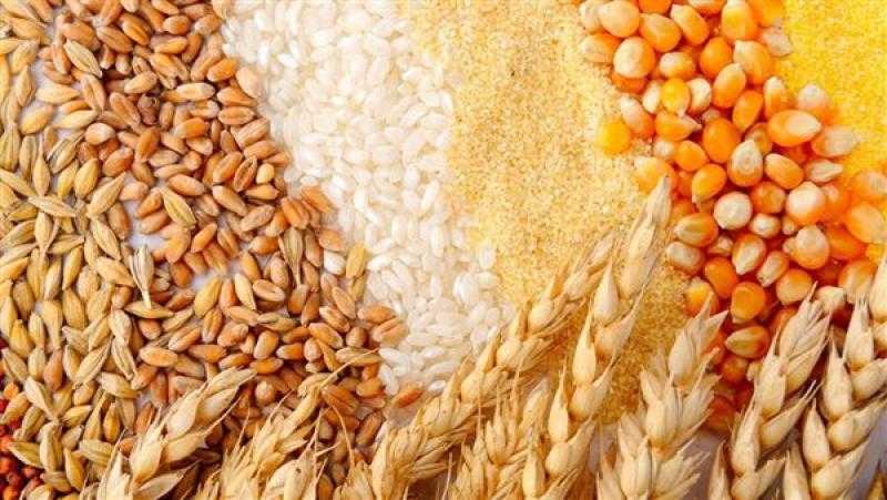 تراجع جماعي لعقود الذرة عالميا بمستهل تعاملات الثلاثاء