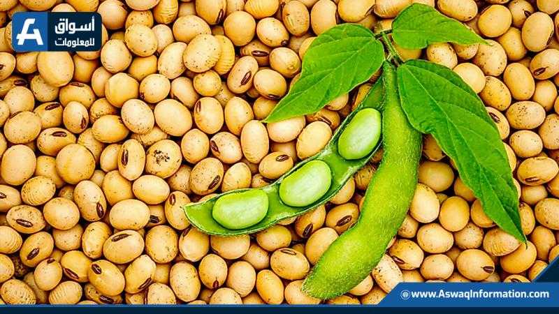 انتعاش عقود بذرة الصويا الآجلة بمستهل تعاملات بورصة شيكاغو