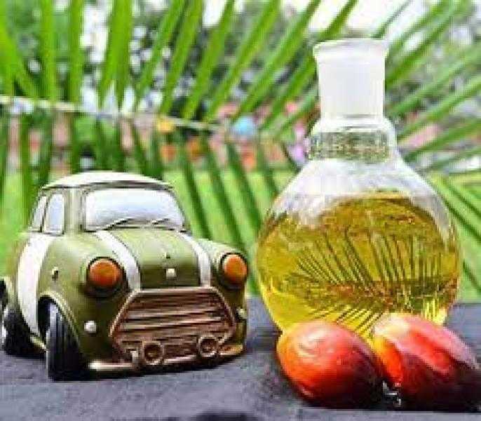 ارتفاع أسعار عقود زيت النخيل بختام تعاملات اليوم الخميس