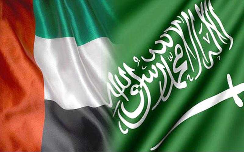 «حصانة السعودية» تستثمر 2.4 مليار دولار في أصول إمارتية