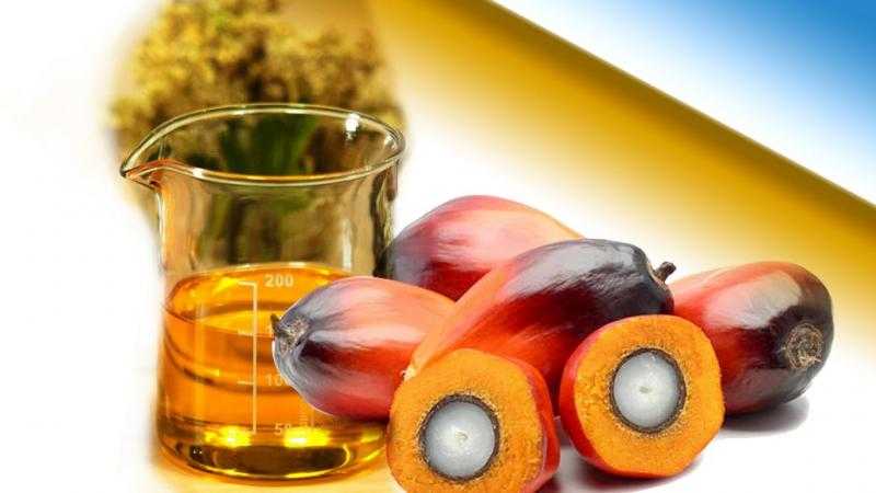 هبوط حاد في عقود زيت النخيل الآجلة وسط مخاوف من ركود عالمي