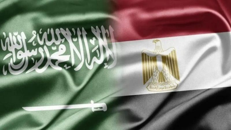 مباحثات مصرية سعودية لتعزيز سبل التعاون المشترك بين البلدين