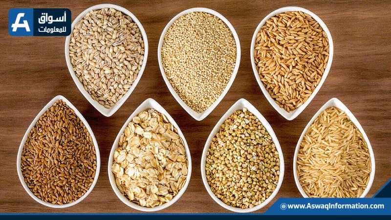 أسعار الذرة تواصل ارتفاعها في بورصة شيكاغو للحبوب اليوم