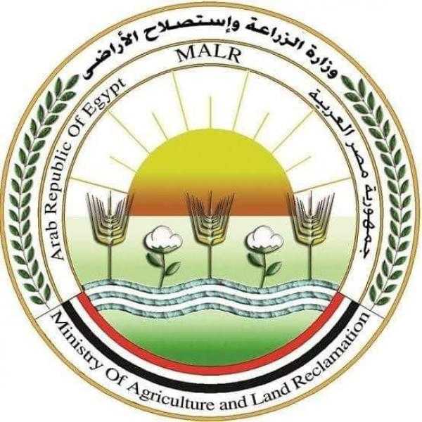 وزارة الزراعة: توزيع 1800 مشروع لتربية الأغنام على المستحقين في 3 محافظات حدودية