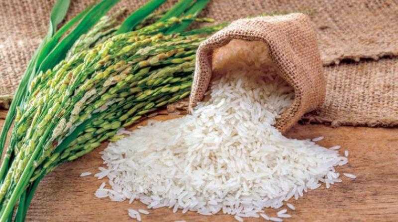 الأرز يتباين بوضوح عند نهاية تعاملات السوق الأمريكي