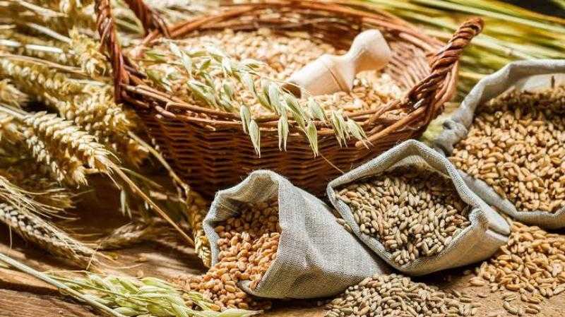«زيادة القمح والذرة».. ننشر حصاد الإغلاق الأسبوعي لبورصات الحبوب والزيوت