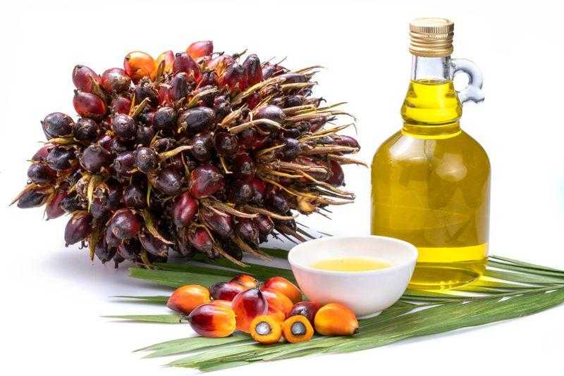 قفزة في أسعار عقود زيت النخيل وسط مخاوف تراجع الإنتاج السائدة