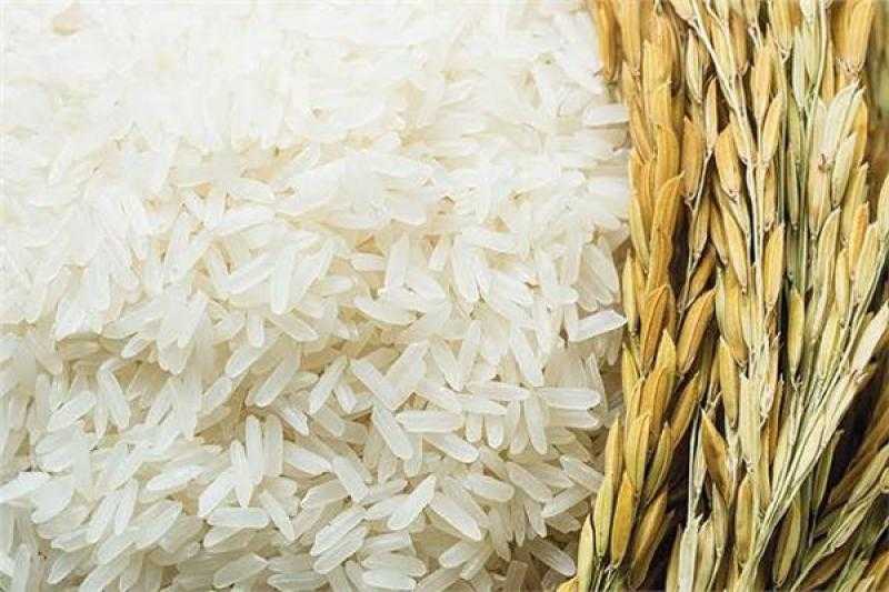 أسعار الأرز عالميًا تختتم آخر جلسات الأسبوع على تباين