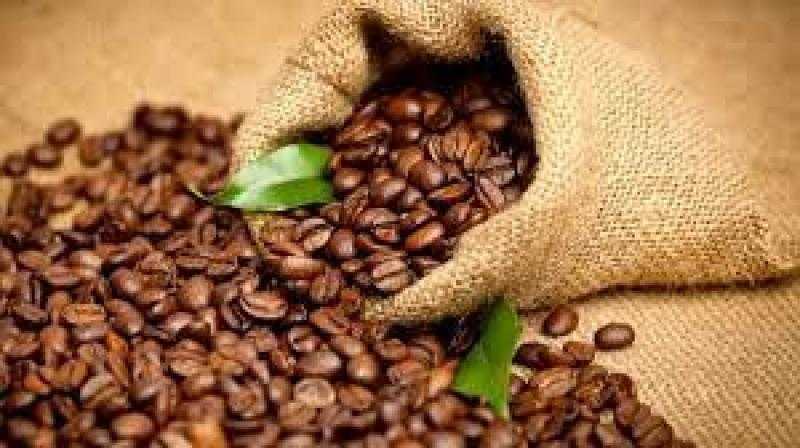 أسعار عقود قهوة أرابيكا الآجلة تواصل الارتفاع بمستهل تعاملات نيويورك