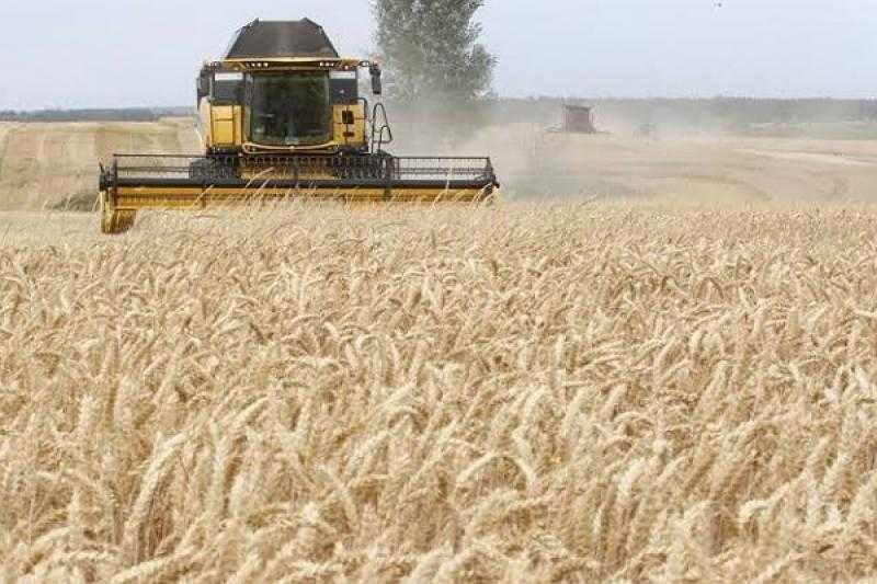 بعد زيادة التصدير ووفرة الإمدادات.. توقعات بانخفاض أسعار القمح عالميًا خلال 2023
