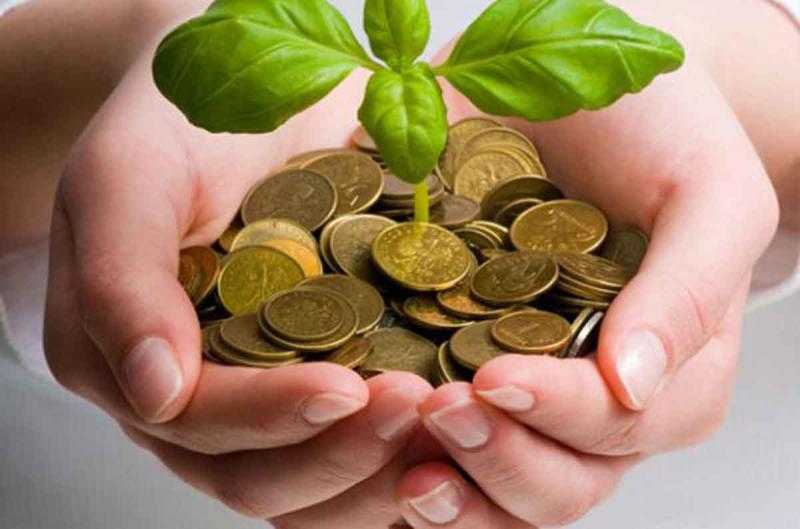 يصل إلى 23.89 ألف شخص.. الرقابة المالية: عدد المستفيدين من التمويل الأصغر في تزايد