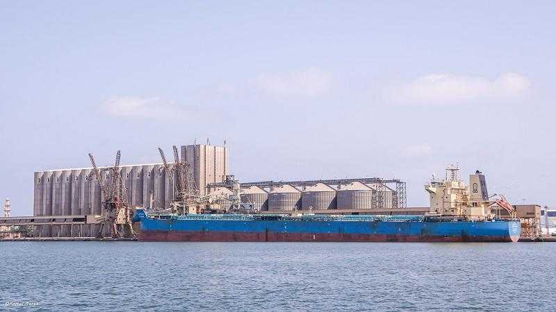 «ميناء دمياط» يستقبل 42 ألف طن قمح روسي لصالح هيئة السلع التموينية