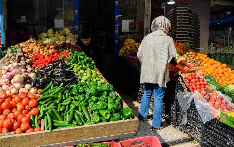 أسعار الخضراوات اليوم السبت 28 يناير 2023 للمستهلك.. كيلو الطماطم بـ 5.75 جنيه