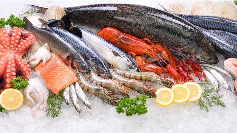 أسعار السمك اليوم السبت 28 يناير 2023 للمستهلك.. كيلو البلطي من 38 - 44 جنيها
