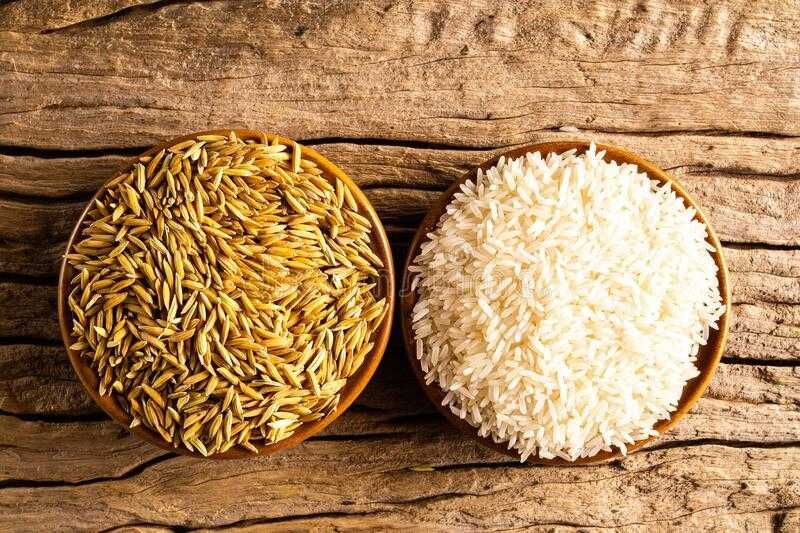 أسعار الأرز عالميًا تشهد تراجعًا ملحوظًا في بورصة شيكاغو التجارية للحبوب