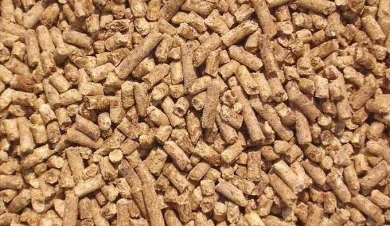 أسعار الأعلاف اليوم الإثنين.. 400 جنيه زيادة بالطن