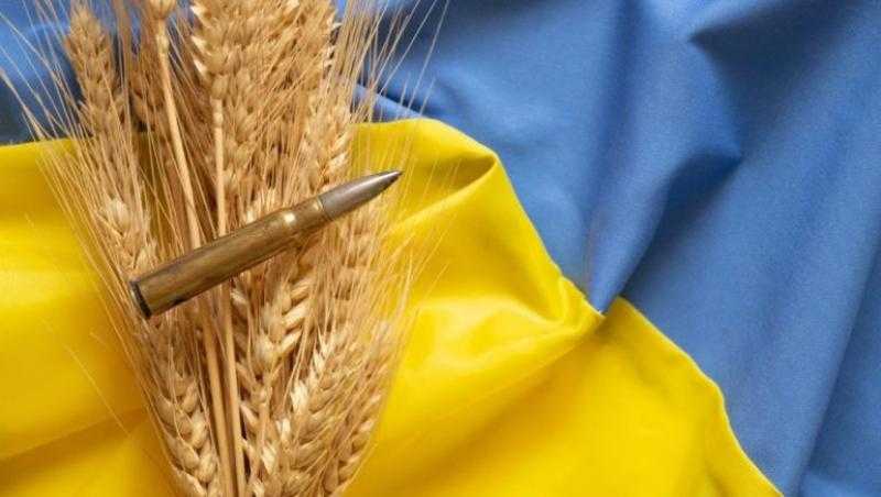 ناقوس المجاعة يدق.. أوكرانيا تطالب تركيا والأمم المتحدة بالتصدي لروسيا لهذا السبب