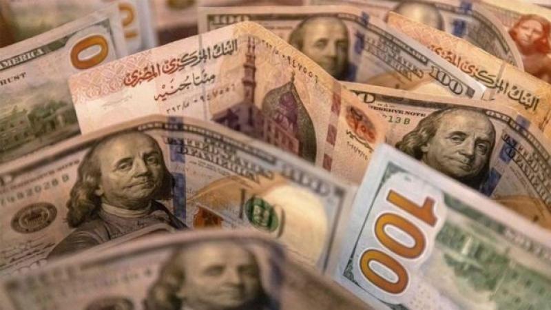 سعر الدولار اليوم في ختام تعاملات الأحد.. ثبات الشراء والبيع