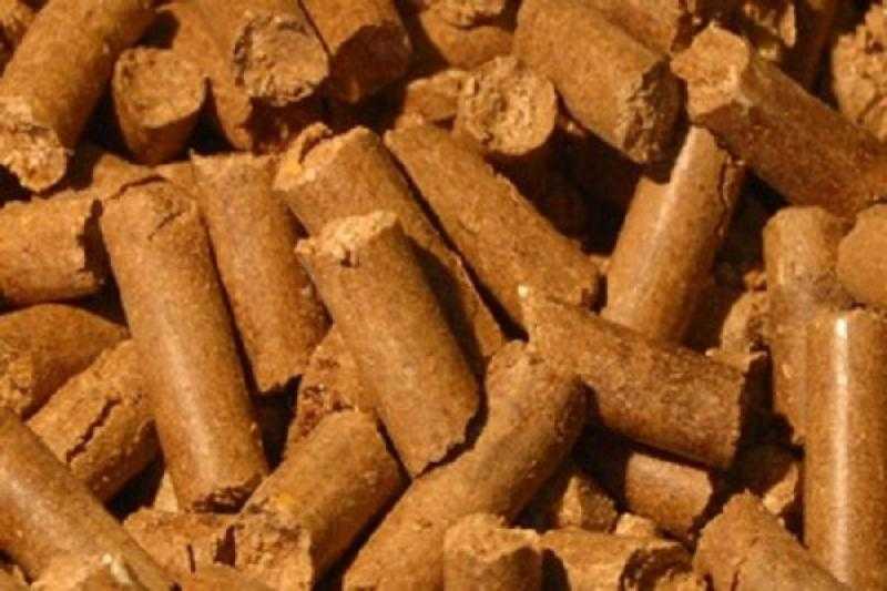 بعد انخفاض الأمس.. ننشر أسعار الأعلاف اليوم الأربعاء