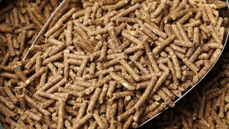 «USDA» تتوقع ارتفاع صادرات كسب الصويا الأمريكية لمستوى قياسي هذا الموسم