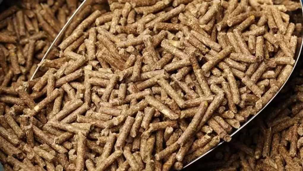 واشنطن تعلن بيع 155 ألف طن من كسب الصويا الأمريكي إلى إيطاليا