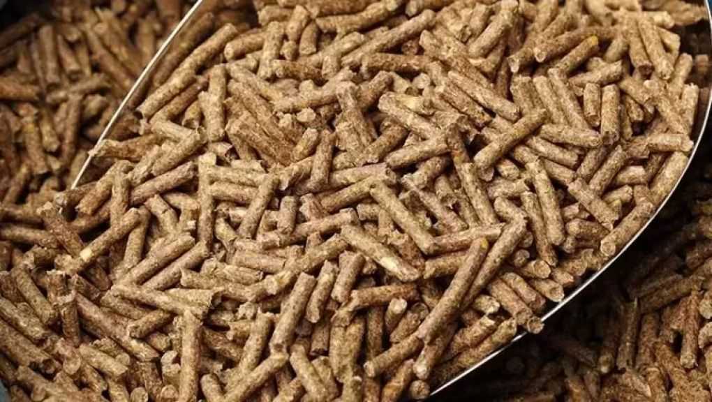 أمريكا تبرم صفقة لتصدير 190 ألف طن من كسب فول الصويا إلى الفلبين