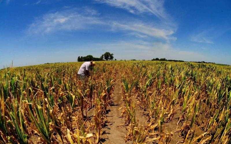 جفاف شديد يتسبب في انخفاض منسوب أنهار حوض الأمازون لأدنى مستوياته