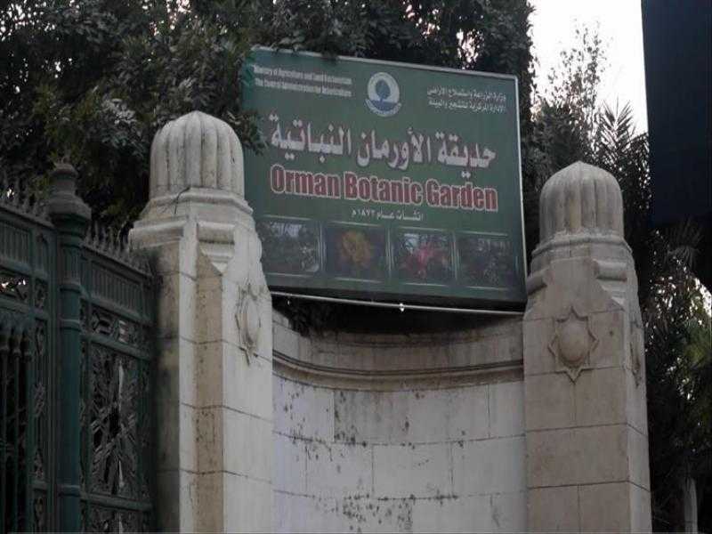 ”الزراعة” توضح حقيقة قطع الأشجار النادرة بحديقة الأورمان بالجيزة