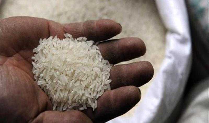 شعبة الأرز: لا صحة لنقص السلعة في الأسواق| فيديو