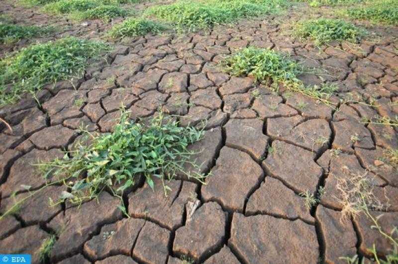بورصة الحبوب بالأرجنتين: الناتج المحلي يخسر 19 مليار دولار بسبب الجفاف