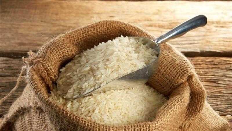 سعر الأرز الشعير اليوم الخميس عند التاجر.. مش هتصدق بكام