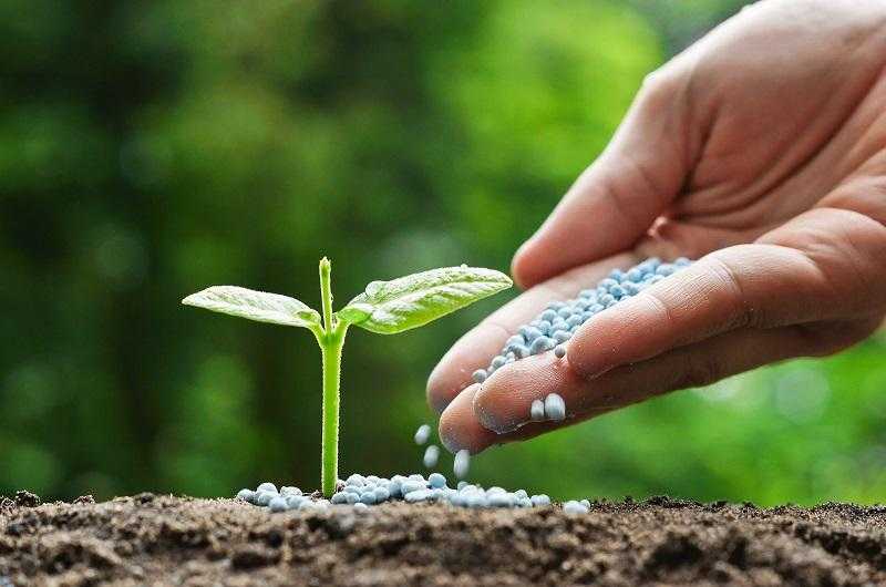 بنسبة 50.2%.. ارتفاع صادرات مصر من الأسمدة خلال 2022