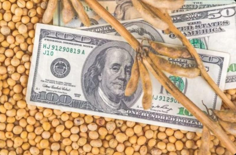 تراجع حاد لأسعار بذرة الصويا العالمية بنهاية تعاملات السوق الأمريكي