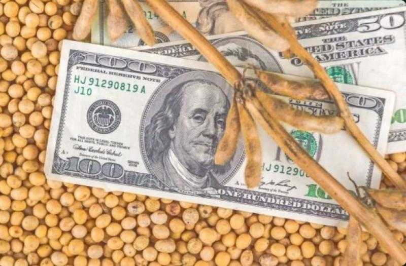أسعار الصويا عالميًا تواصل الارتفاع بختام بورصة شيكاغو التجارية