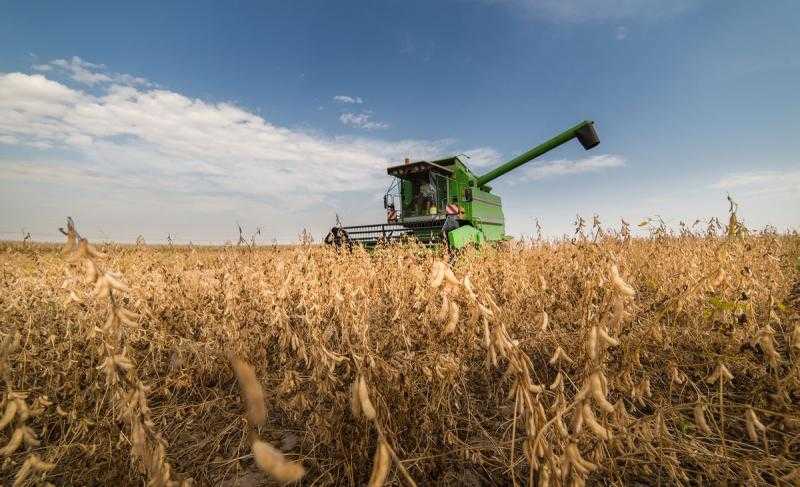 الرطوبة المنخفضة تعزز حصاد بذرة الصويا في البرازيل