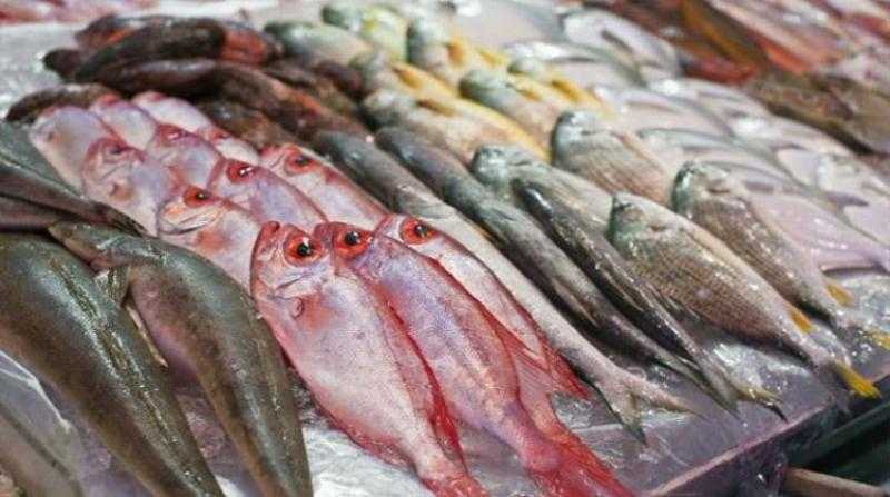 أسعار السمك اليوم السبت 25 مارس 2023.. والبلطي من 50 - 80 جنيهًا