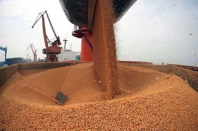 أسعار بذرة الصويا تعزز مكاسبها بختام تداولات بورصة شيكاغو