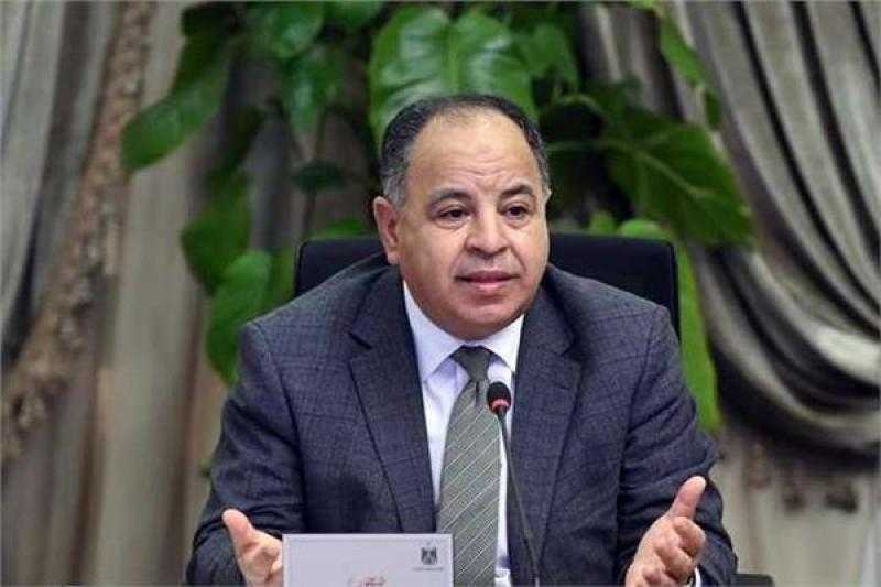 وزير المالية: انتهينا من الإفراج عن ٨٠٠ سيارة مستوردة للمصريين بالخارج
