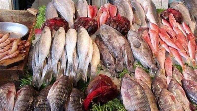 أسعار السمك اليوم الأحد للمستهلك.. «البوري » بـ115 جنيها