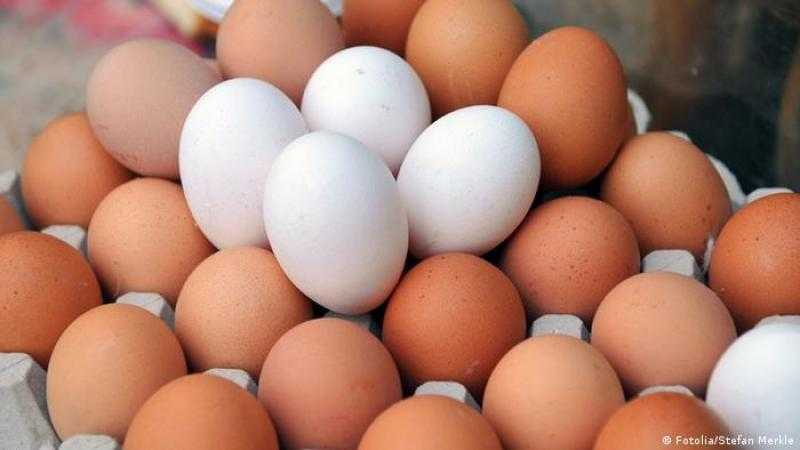 سعر طبق البيض اليوم بالمزرعة.. زيادة 3 جنيهات لـ«الأبيض والبني»