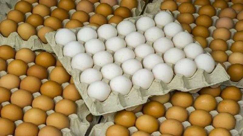 طبق الأبيض بـ110 جنيهات.. أسعار البيض في ثالث أيام العيد للمستهلك