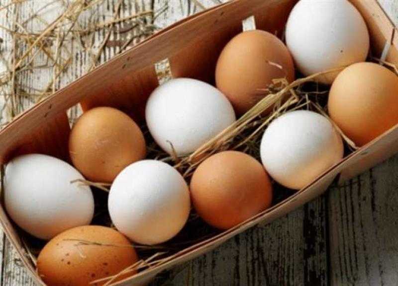 سعر طبق البيض اليوم للمستهلك..  «الأبيض» بـ110 جنيهات