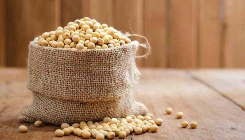 انخفاض ملحوظ في عقود الصويا بمستهل تعاملات السوق الأمريكي