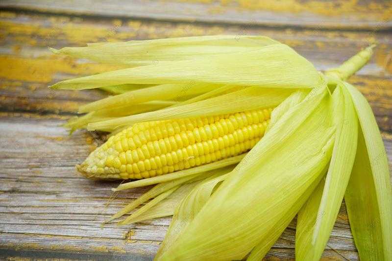 عقود الذرة الأجلة تتراجع بختام تعاملات بورصة شيكاغو