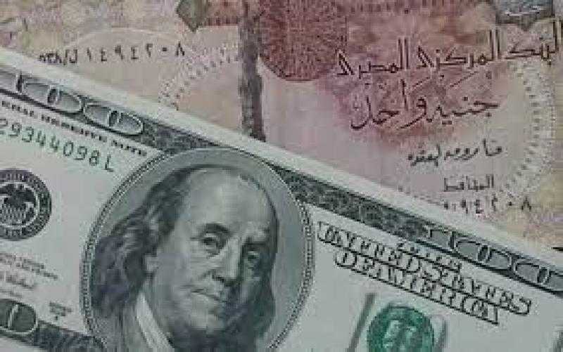 خبير اقتصادي : المركزي لن يرفع الفائدة اجتماعه المقبل .. والجنيه سينخفض 10%