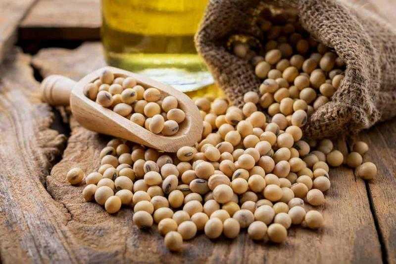 عقود الصويا الآجلة في المنطقة الخضراء عند افتتاح تعاملات الأسبوع